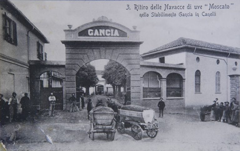 Vittorio Vallarino Gancia|Vittorio Vallarino Gancia