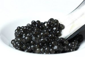 Caviale|aree di acquacoltura Cru caviar|||cru caviar storione|cru caviar caviale|cru caviar beluga almas|cavialee scatola|varieta? di caviale|cru caviar pesca|acquacoltura Cru caviar|cru caviar storione