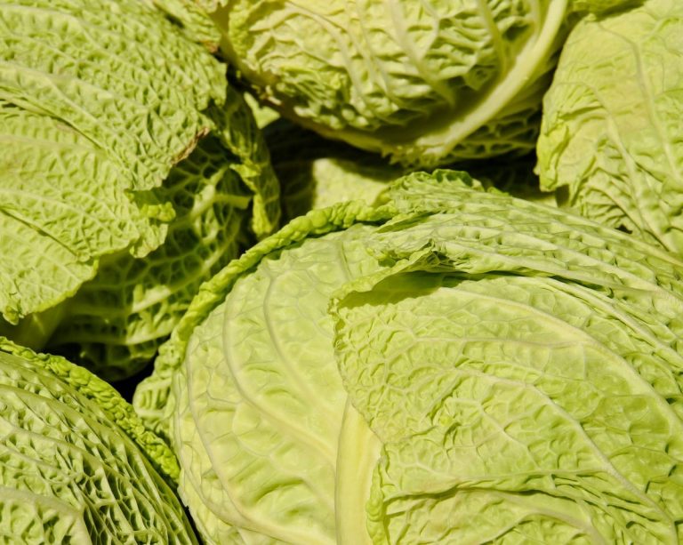 cavoli