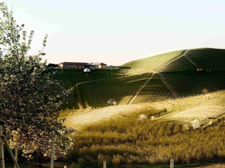 Tenuta Monsordo di Ceretto|La famiglia Ceretto|Un piatto di Enrico Crippa per la via selvatica