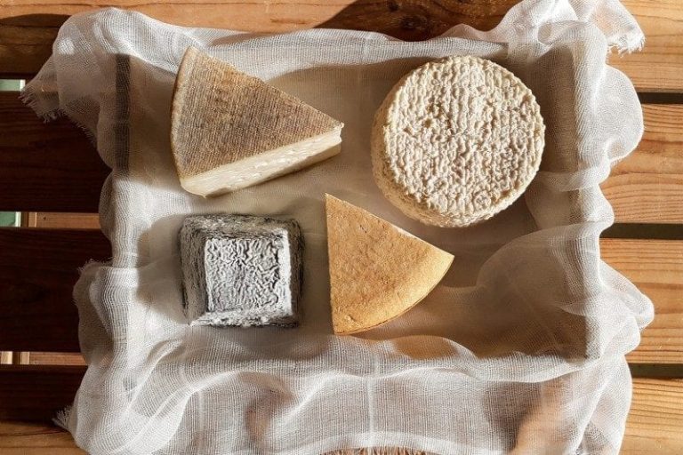 Cheese 2019 a Bra: programma e date.Formaggi erborinati e stagionati a Cheese 2019