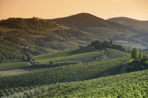 Le colline e i vigneti del Chianti Classico al tramonto