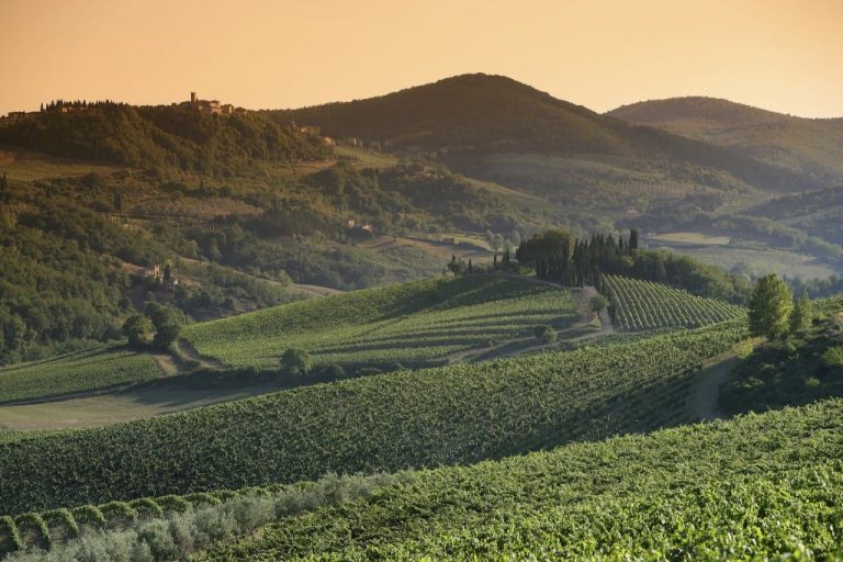 Le colline e i vigneti del Chianti Classico al tramonto