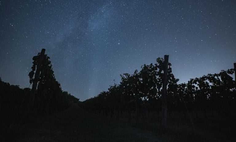 cielo stellato in vigna a Montalcino
