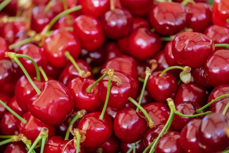 Scopri frutta e verdura di stagione di giugno