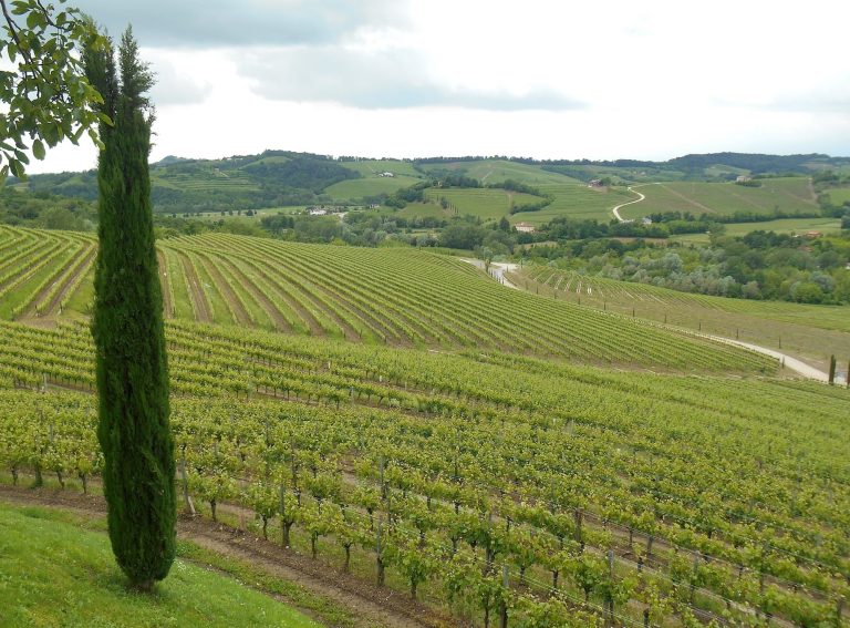 Panorama del COllio|Panorama del Collio|Degustazione Enjoy Collio