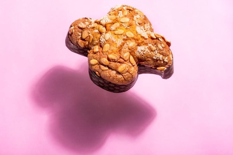 Foto Alberto Blasetti|colomba olivieri|colomba olivieri|colomba olivieri|colomba olivieri|