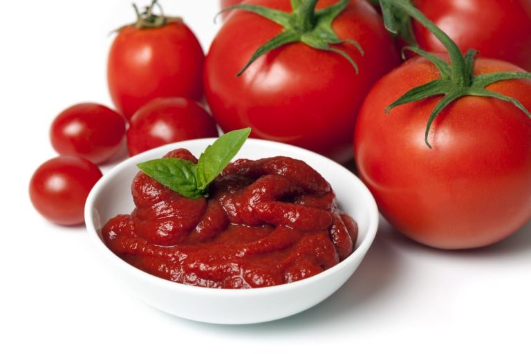 concentrato di pomodoro