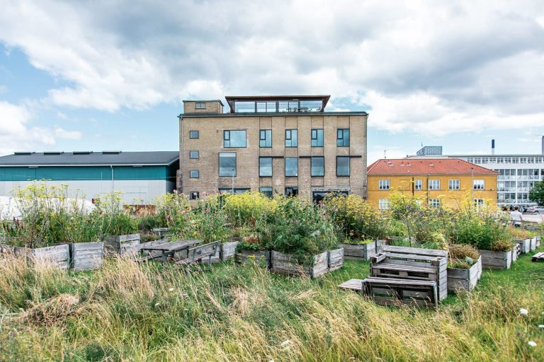 Il giardino sul tetto di Amass a Copenhagen|Un tavolo al Noma|Gli ingredienti del Noma|Noma