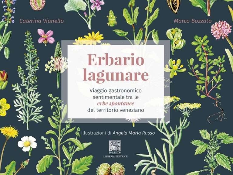 erbario lagunare|erbario lagunare|erbario lagunare|