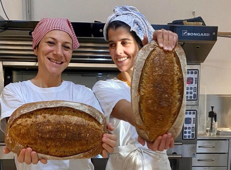 forno demetra di sabrina bianchi e roberta pezzella|pane forno demetra di sabrina bianchi e roberta pezzella|panettone forno demetra di sabrina bianchi e roberta pezzella|panettone forno demetra di sabrina bianchi e roberta pezzella|panettone forno demetra di sabrina bianchi e roberta pezzella