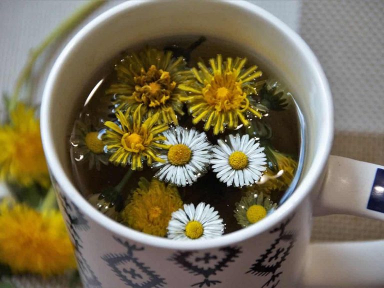 Foto di ivabalk da Pixabay||dieta alimentazione nutrizione 2|dieta alimentazione nutrizione 3|dieta alimentazione nutrizione 5||dieta alimentazione nutrizione 7|||cover articolo detox||