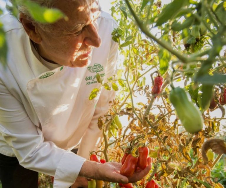 Don Alfonso|L'orto di Piazza Duomo dall'alto|Orto della Madernassa|L'orto di Casa Format|L'orto di L'Argine a Venco?|Erba Brusca|L'orto di Venissa|Le erbe aromatiche di Piazza Duomo|I pomodori di Don Alfonso|L'orto di Villa Rosa – La Casa di Lella|I prodotti dell'orto di Villa Rosa – La Casa di Lella|L'orto di Hyle|Pietro Zito