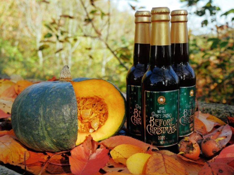 Birra non birra con zucca e sorgo||Birra non birra di Stirone Barleyfree|Birra natalizia senza glutine