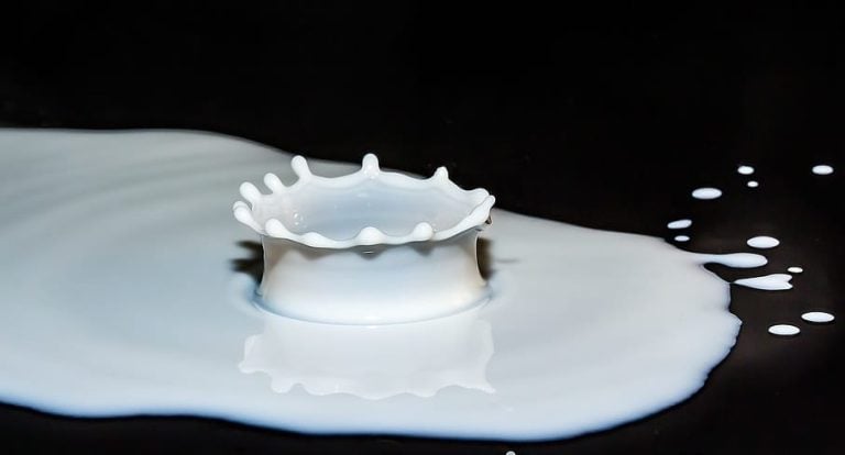 |parma_parmigiano|BUFALA 015