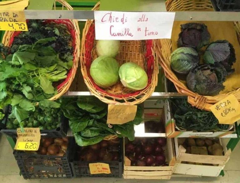 Emporio di comunita? Camilla a Bologna|Emporio di comunita? Camilla. Esempio a Bologna di supermercato autogestito