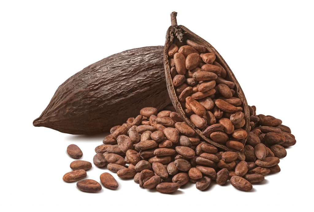 Scopri i Cacao Eco Village