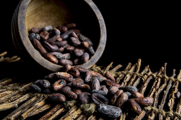 Fave di cacao|Bambini nella scuola di un villaggio in Costa d'Avorio|Donna in un villaggio di produttori di cacao della Costa d'Avorio|bambini di colore