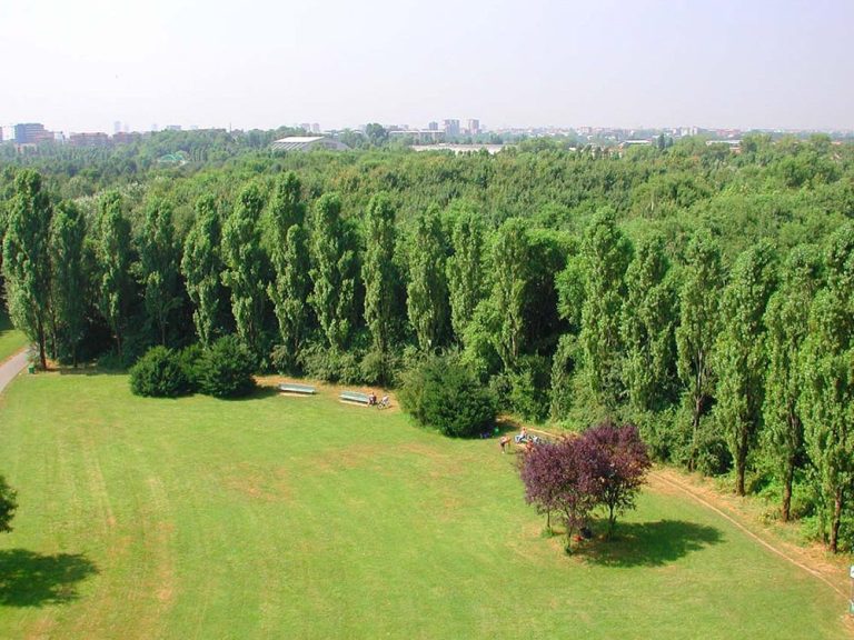 Il Parco Nord di Milano|La mappa della food forest di Milano|Il parco Nord di Milano dall'alto|Piantare un albero in terra|food-forest3