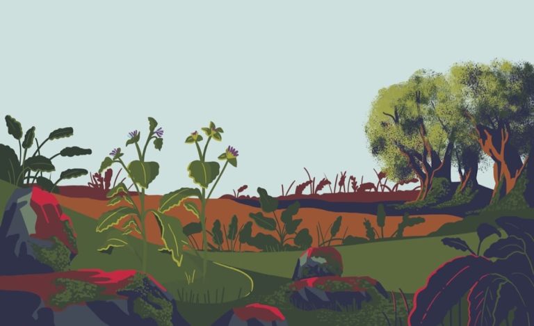 FORAGING. muschio Illustrazioni di Daniela di Bracco|FORAGING funghi e chiocciola|FORAGING more e altro sottobosco Illustrazioni di Daniela di Bracco|FORAGING apertura sottobosco Illustrazioni di Daniela di Bracco