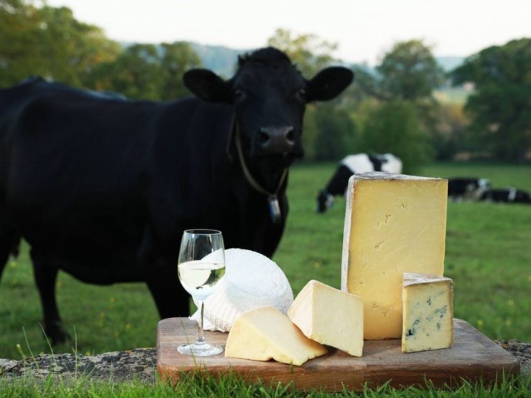 formaggi piu? buoni del mondo||||||cheese journeys