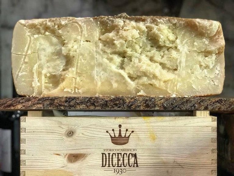 formaggio di pecora vito dicecca|baby dicecca|formaggi di cecca|