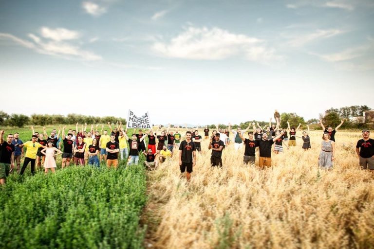 La squadra di Forno Brisa in un campo di grano|Pasquale Polito e Davide Sarti|Uno dei negozi di Brisa a Bologna|