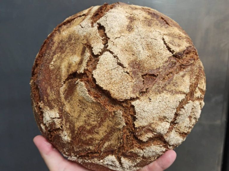 Forno Del Mastro a Monza. Ora il pane ottiene il certificato biologico|Forno Del Mastro a Monza. Ora il pane ottiene il certificato biologico