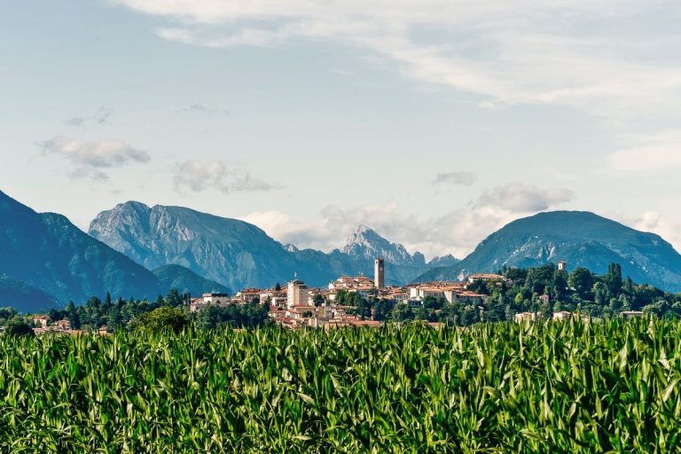 |I cjalsons. Foto di Fabrice Gallina|Il Tagliamento. Foto di Ulderica Da Pozzo|La trota. Foto di Alessandro Castiglioni|Prosciutto San Daniele. Foto di Alessandro Michelazzi|Formaggio Asìno