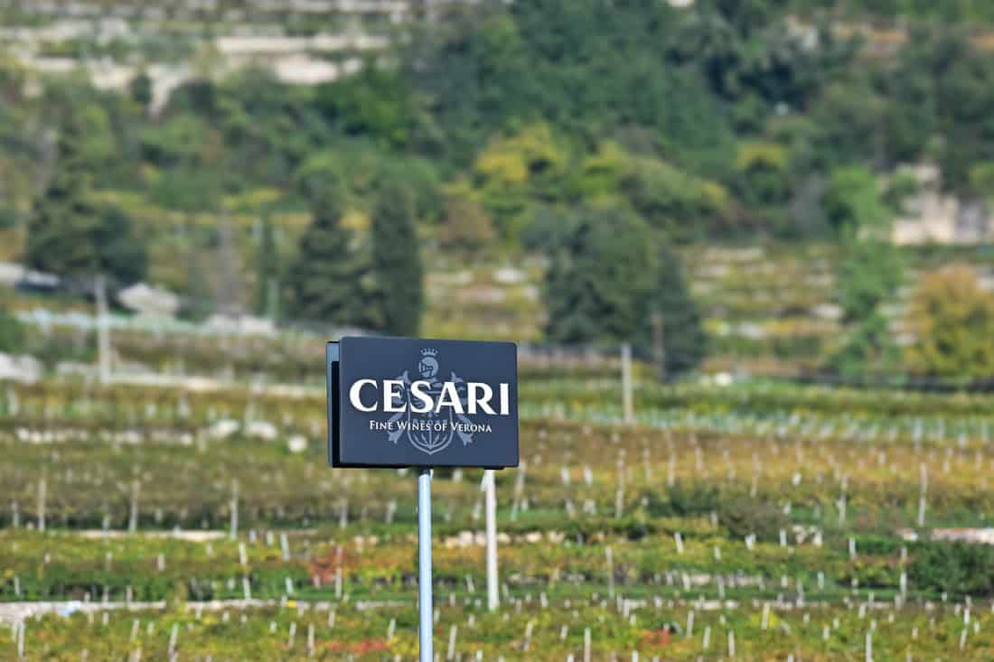 Gerardo Cesari, storia della cantina della Valpolicella e i vini prodotti