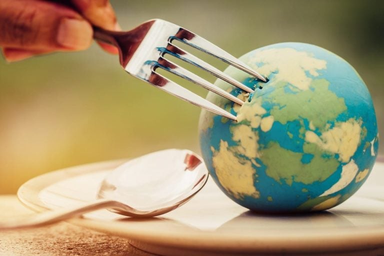 Scopri come ridurre l'impatto ambientale a tavola|hamburger di ceci vegani