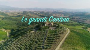 I vigneti di Montecucco|Panorama del Montecucco|Marco Sabellico degusta un vino|Taglio dell'uva in vigna