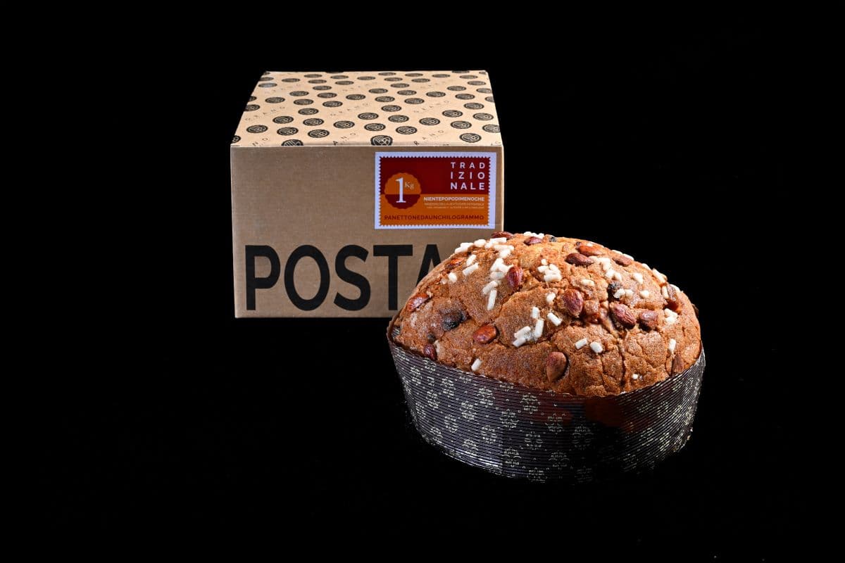 panettone classico Grano in Fermento