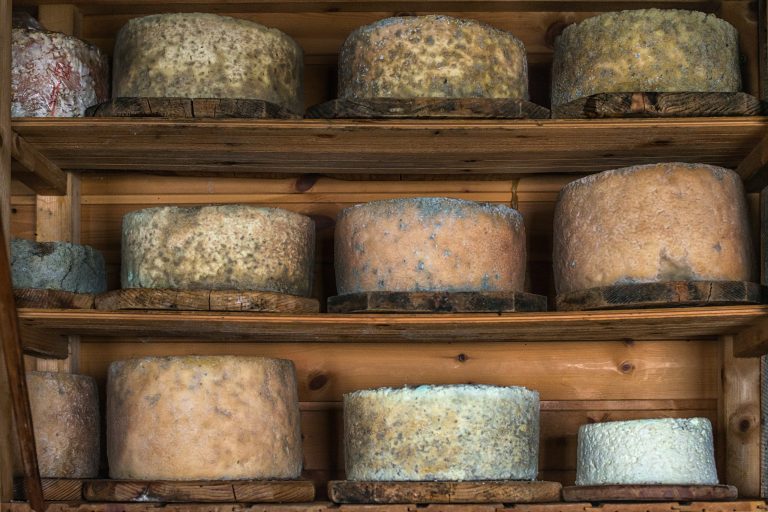 Scopri la festa del Graukäse|Scopri la festa del Graukäse|Scopri la festa del Graukäse