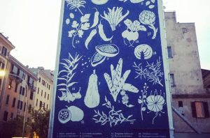 Herbarium a Tor Pignattara