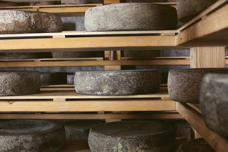 I formaggi di Hisa Franko|Raccolta delle erbe|Formaggio Tolminc stagionato|Ana Ros e Valter Kramar|dispensa hisa franko