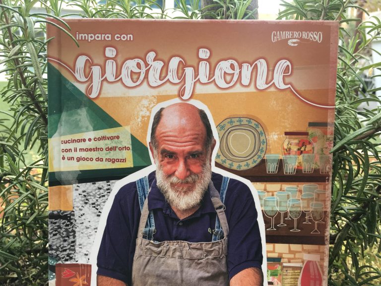 Impara con Giorgione: la copertina del libro
