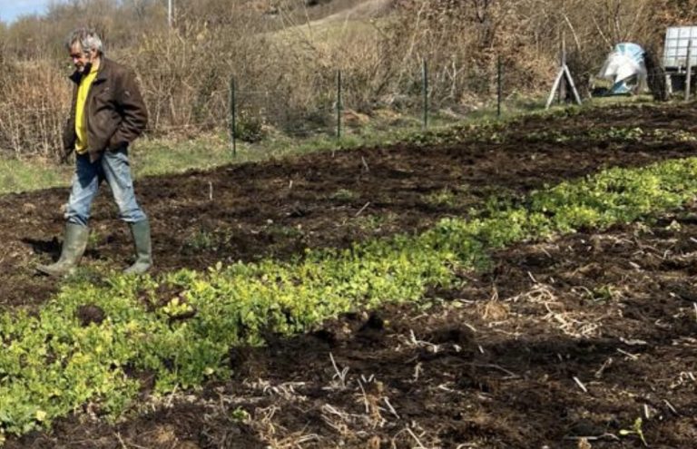 Scopri il progetto Adotta un pomodoro in Abruzzo|Scopri il progetto Adotta un pomodoro in Abruzzo|Scopri il progetto Adotta un pomodoro in Abruzzo
