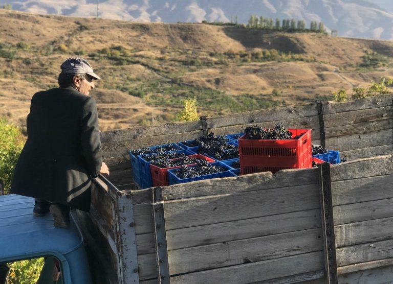 Armenia vino|Armenia vino|Armenia vino|Armenia vino|Armenia vino|Armenia vino|Armenia vino|Armenia vino|Armenia vino|Armenia vino|Armenia vino