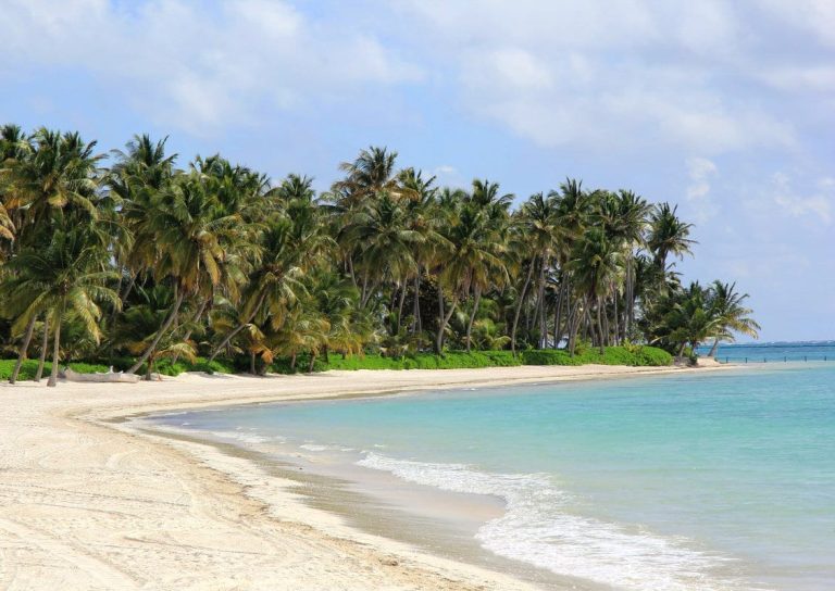 |Repubblica Dominicana Ananas|Repubblica Dominicana Ananas|Repubblica Dominicana Cacao criollo dominicano|Repubblica Dominicana|Repubblica Dominicana|Bocachica Repubblica Dominicana|Repubblica Dominicana|Repubblica Dominicana