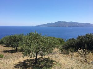 Palma Esposito|Palma Esposito|Degustazione per la guida Oli d'Italia