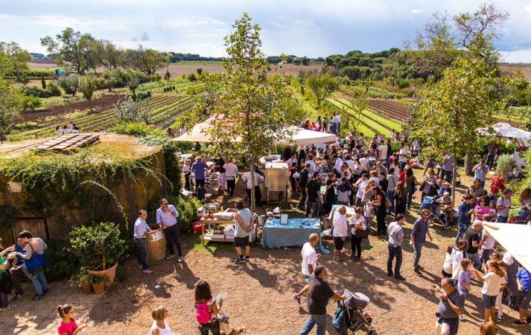 Fattoria L'Orto di Alberico|bio sagra for kids