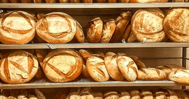 Panifici Emilia Romagna: forno Brisa|tre bicchieri 2020