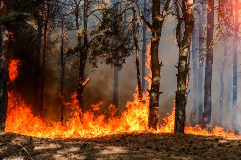 incendi