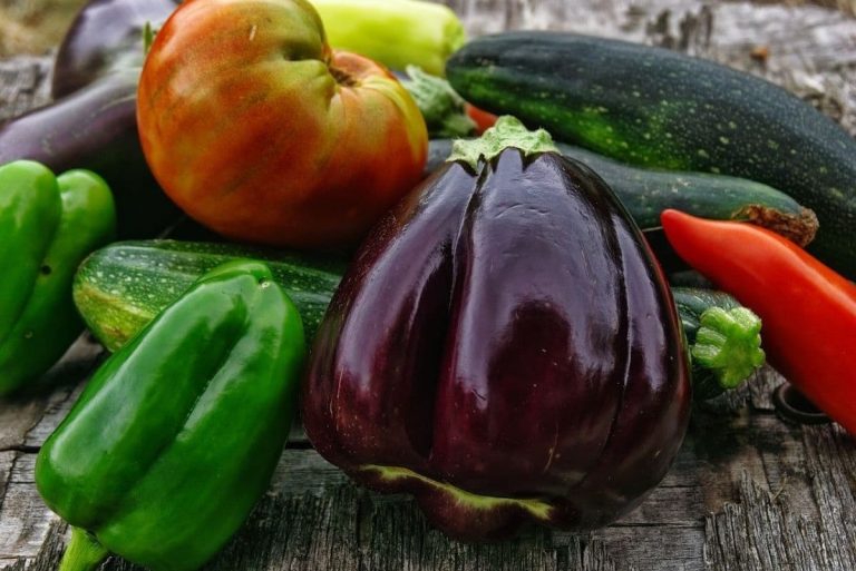 Le verdure di Io Coltivo Italia|Io Coltivo Italia: come controllare un orto a distanza tramite app|Le serre con telecamere di io Coltivo Italia