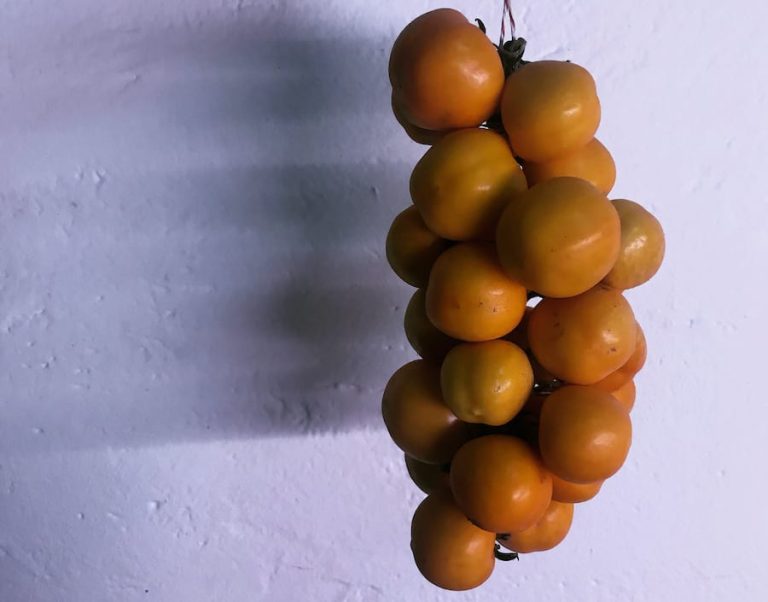karadrà pomodoro di aradeo ape