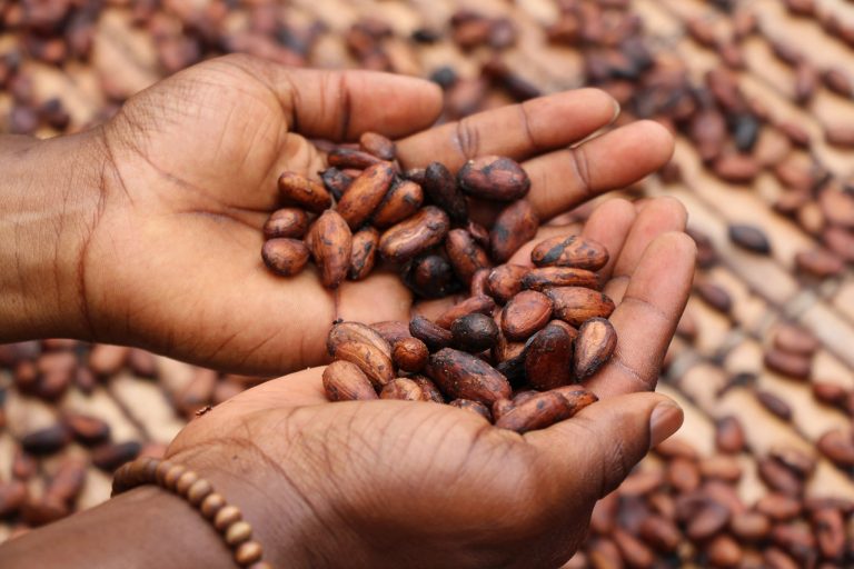 Fave di cacao|Le camelie di Chanel
