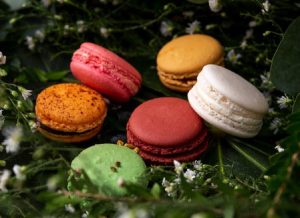 Macaron di le levain di giuseppe solfrizzi su fondo di foglie
