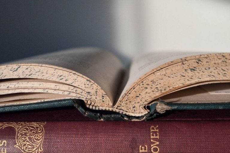 Libro|Sughero tappi|Pagina del Corriere Vinicolo