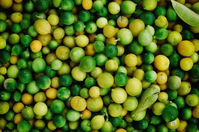 limoni|scorza di limone|limone